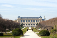 LE JARDIN DES PLANTES